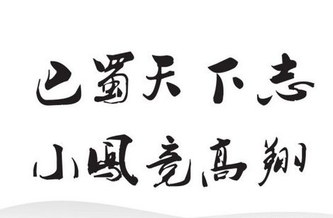 巴蜀天下志，小鳳競高翔——四川省達州市通川八小校園文化品牌打造記