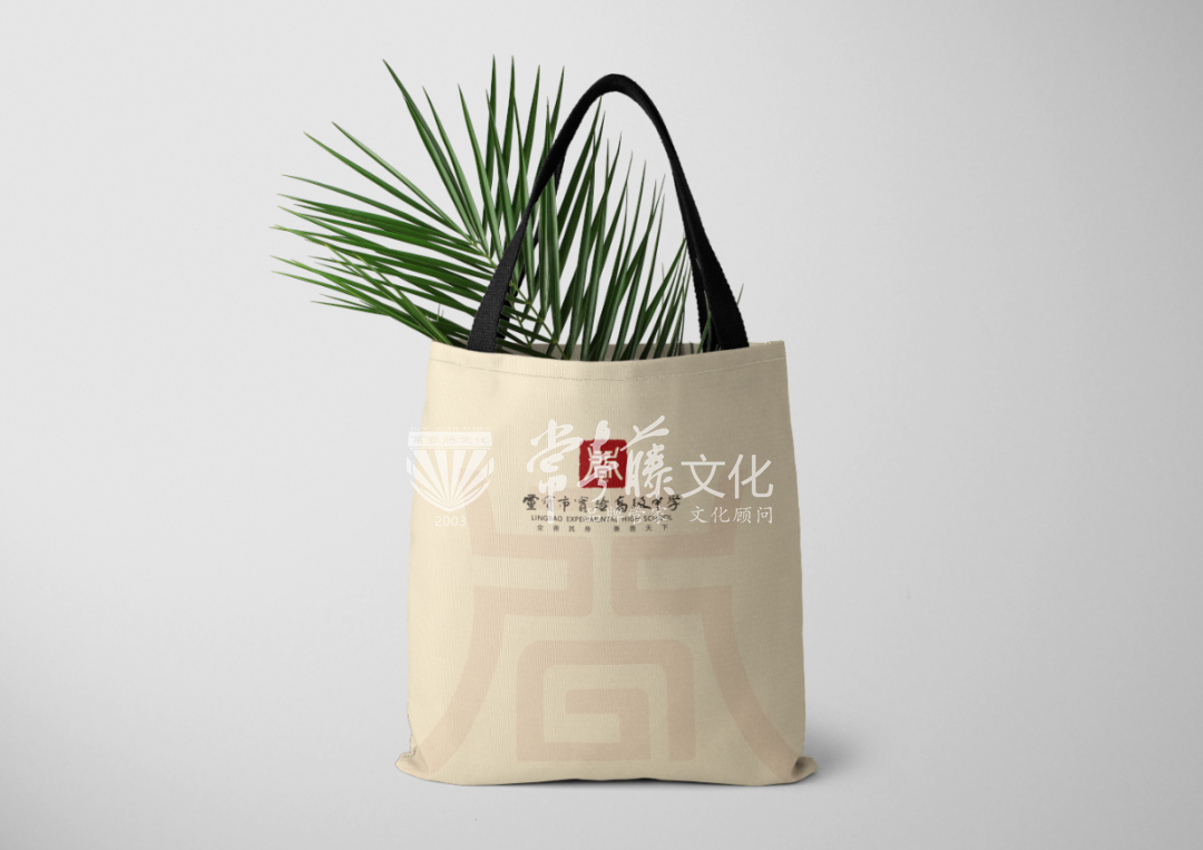 靈寶實(shí)驗(yàn)高級(jí)中學(xué),VI應(yīng)用,手提袋